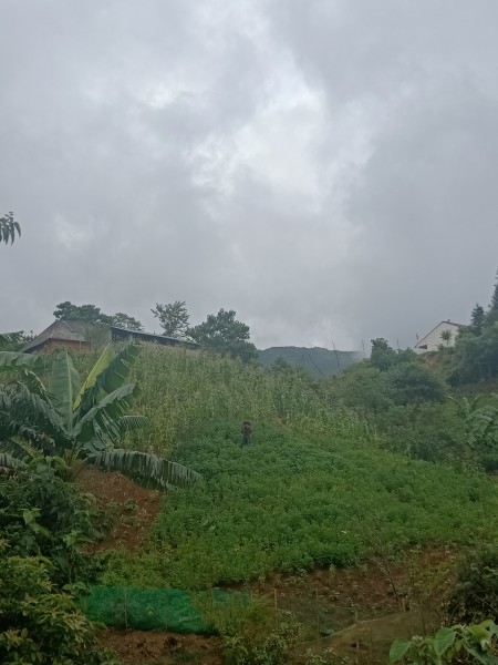View đẹp, có suối, đầu cơ tốt tại Y Tý - Sapa 2 tiện ích xung quanh đủ pháp lí bàn giao đầy đủ