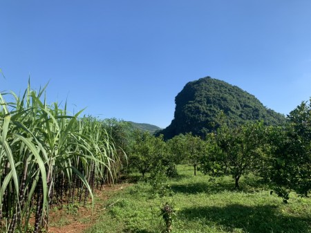 Đi đến slide 6