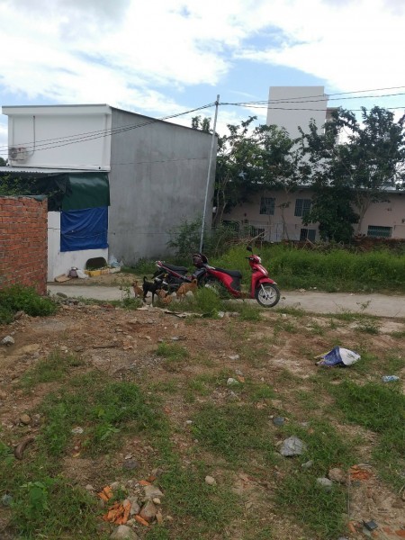 Bán đất đường Hoàng Minh Thảo xã Phước Đồng Nha Trang vị trí đắc địa, sổ sẵn