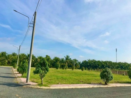 Đất nền khu công nghiệp tân hương 590 triệu/nền, pháp lý rõ ràng, đã có sổ bàn giao ngay