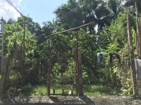 Bán lô đất 52m2, tặng giấy phép xây dựng Nam Đuống, Long Biên, giá bán chỉ nhỉnh 4 tỷ