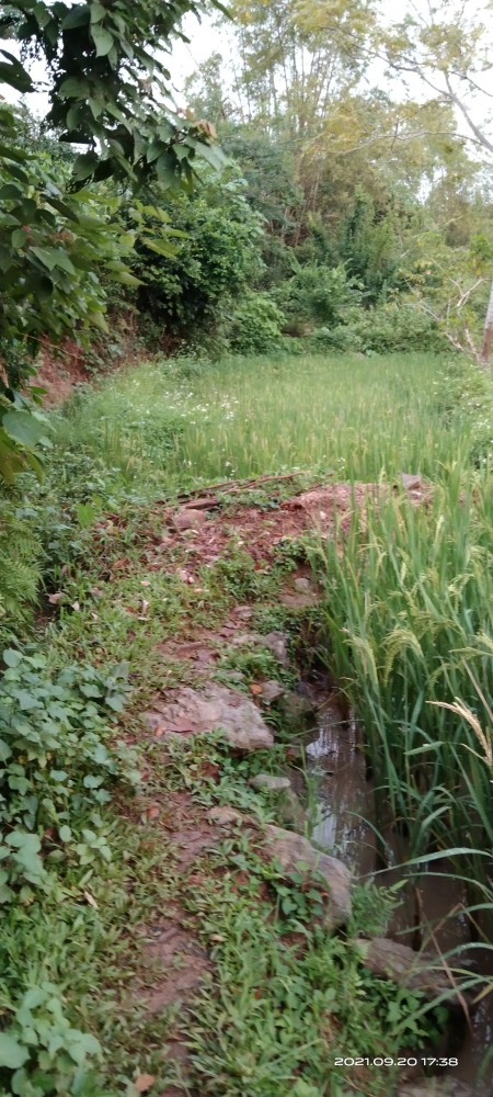 Đi đến slide 6