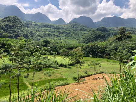 Đi đến slide 4