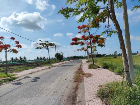 Đất chợ giá rẻ ngân hàng hỗ trợ vay lên đến 20 năm liên hệ 0342834843 giá cho 12 triệu/m2