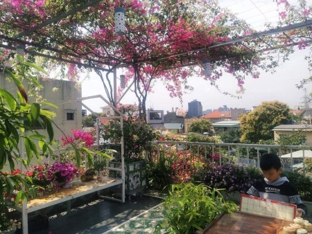Bán nhà ngõ 381 Nguyễn Khang, Quận Cầu Giấy, dtsd 45m2 5 tầng giá 4.6 tỷ, Vào ở ngay
