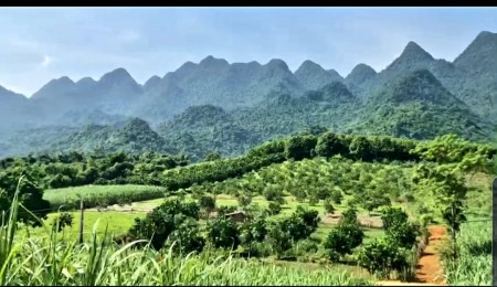 Bán nhanh mảnh đất diện tích 1150m2 có 500m2 thổ cư tại Mỹ Hoà Tân Lạc Hòa Bình