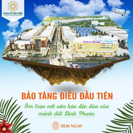 Đi đến slide 8