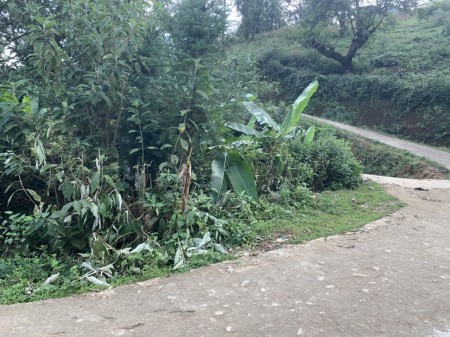 Bán mảnh khu du lịch Biển Mây ở Phan Cán Sử, Y Tý (SaPa 2) giá thoả thuận, tiện đầu tư