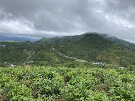 Đi đến slide 3
