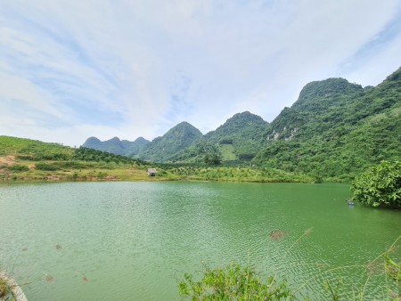 Đi đến slide 7