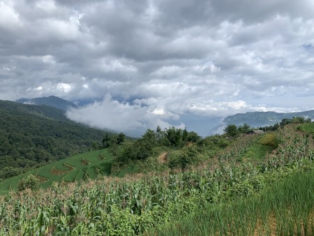Đi đến slide 4