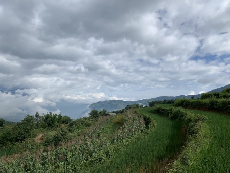 Đi đến slide 3