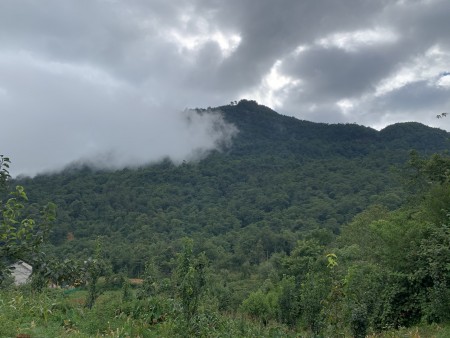 Đất nghỉ dưỡng SAPA2 đầu tư lợi nhuận cao, tính thanh khoản nhanh mặt tiền đường lớn