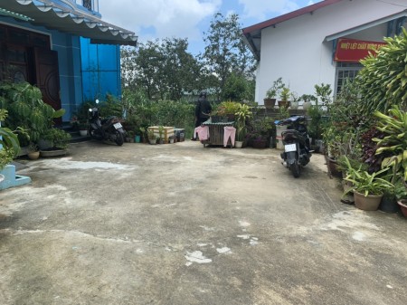 Cần bán lô đất biệt lập đường Phù Đổng Thiên Vương thành phố Đà Lạt giá chỉ