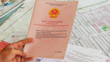 Đi đến slide 10