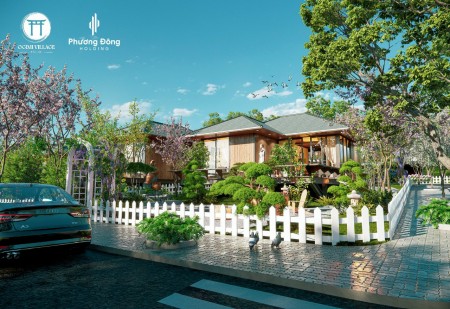 Đất nền nghỉ dưỡng, view săn mây, đã có sổ tại Bảo Lộc Lâm Đồng, sổ hồng riêng từng nền