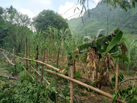 Bán gấp lô đất diện tích 3000m2 có 150 thổ cư view đồng, núi đá tại Lương Sơn