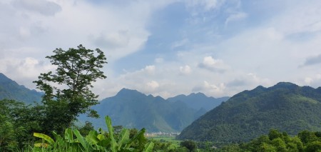 Đi đến slide 7