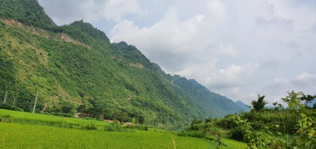 Đi đến slide 5