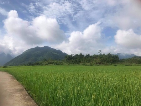 Đi đến slide 2