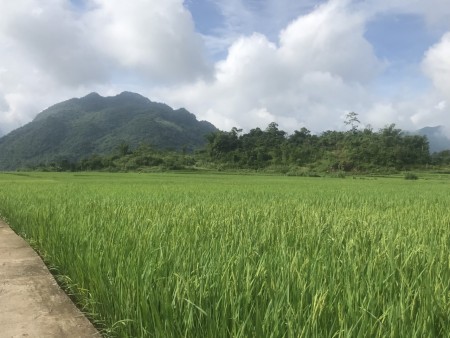 Cơ hội mua đất nghỉ dưỡng cực đẹp giá rẻ tại Châu Mai Hoà Bình, liên hệ 0966746668