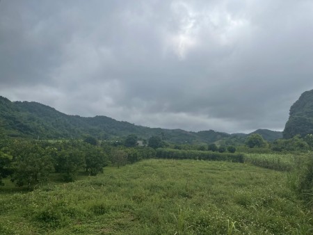 Đi đến slide 6