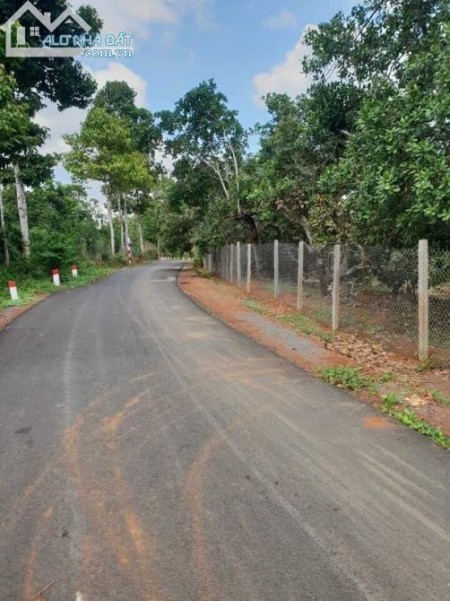 Bán đất trang trại đã quy hoạch tổng thể hệ sinh thái đẹp, liên hệ xem đất 0989184481