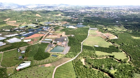 Bán đất vườn ngay xã Lộc Châu thành phô Bảo Lộc - Đất đẹp giá rẻ, phù hợp đầu tư