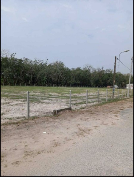 Cần bán đất đường nhựa 1/ Bà Thiên vô 500m khu dân cư 74m ngang dài 50 gần 4000m2