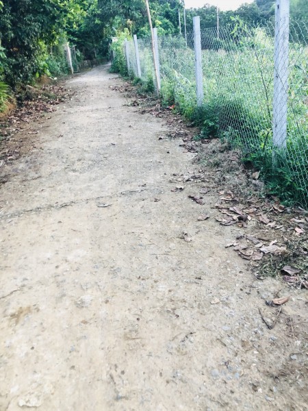 Bán gấp lô đất góc ba mặt tiền diện tích 1350m có 1000m thổ cư tại Cao Phong-Hòa Bình