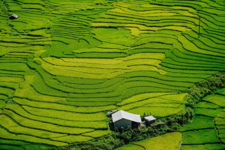 Bán lô đất Sapa view thung lủng Mường Hoa và ruộng bậc thang giá cắt lỗ diện tích 3500m2