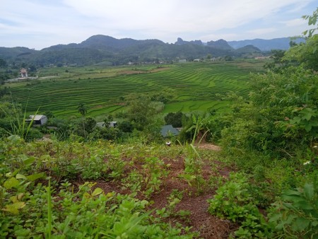 Đi đến slide 2