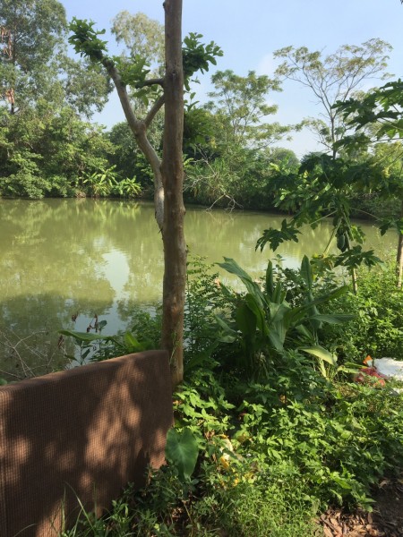Đi đến slide 4
