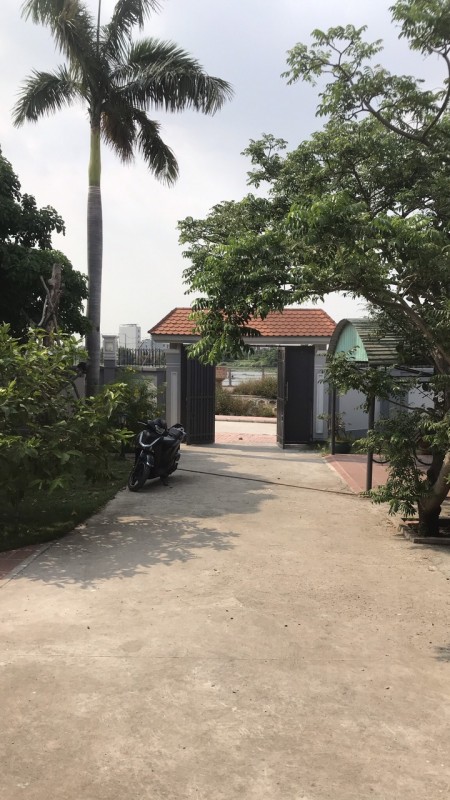 Cho thuê biệt thự Quận Thủ Đức biệt thự sân vườn đường số 7, phường Hiệp Bình Phước