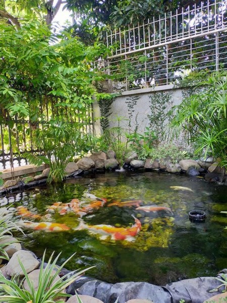 Lô góc mặt tiền rộng mênh mông vị trí đẹp kinh doanh nhà hàng cafe khu an sinh đỉnh