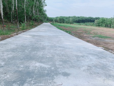 Cần bán 1000 mét vuông đất mặt tiền đường bê tông gần chợ Minh hưng chân thành Bình Phước. Giá 100 tr
