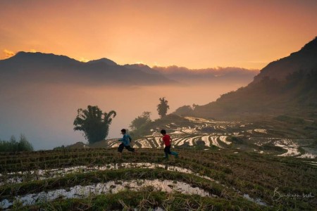 Mảnh đất 5000m2, thôn mò Phú Chải Y Tý mặt đường ĐT158 tiện đầu tư sinh lời, sổ sẵn