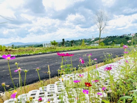 Chính chủ cần bán lô đất diện tích sử dụng 5x20 Full thổ cư cách hồ cánh bướm 1,5km