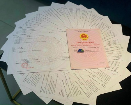 Đi đến slide 8