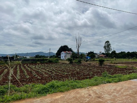 Bán nhanh lô đất diện tích 400m2, View Đồi Đẹp, Nam Ban, chỉ 480 triệu liên hệ 0935434534