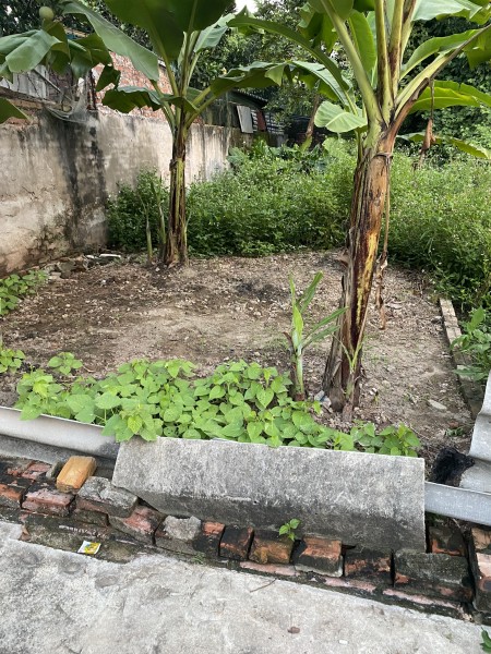 Bán nhanh lô đất diện tích 68m2 Giao Tất A, Kim Sơn đường oto vào, liên hệ 0983253436