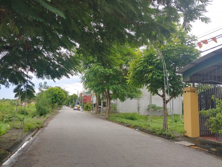 Bán gấp lô đất mặt đường Cát Khê, Hải An diện tích sử lô đất 100m2 giá 20 triệu/m2