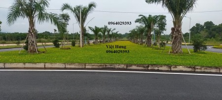 Cực Hot Lô đất Đầu tư Lãi Nhanh Lợi Nhuận Khủng vành đai công nghệ cao HÒA LẠC