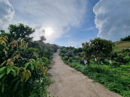 Đi đến slide 3