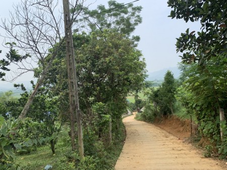 Đi đến slide 6