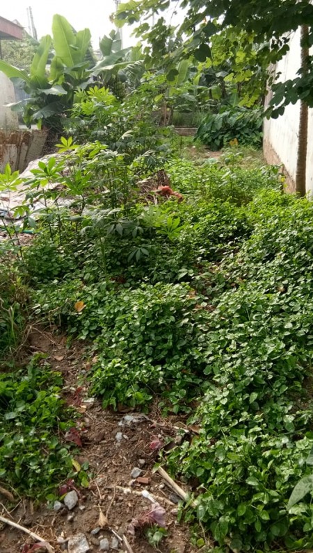 Bán gấp đất Đông Ngạc Bắc Từ Liêm,oto 7 chỗ vào nhà, pháp lý chuẩn giao dịch ngay