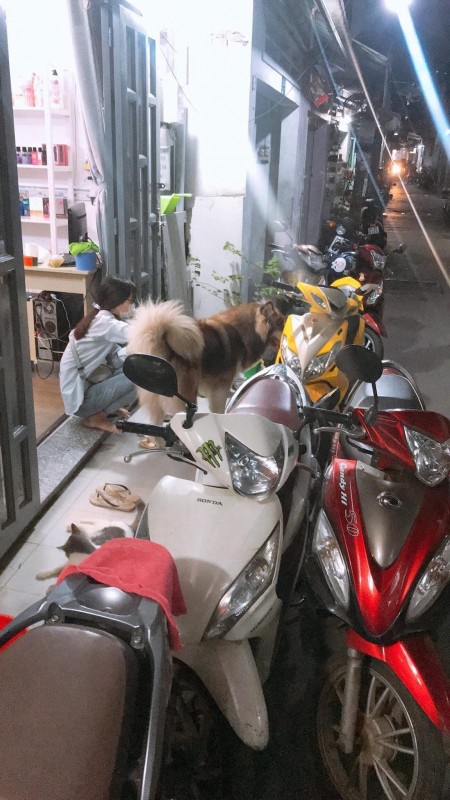 Nhà 1 xẹt ngay mặt tiền 3 tầng làm căn hộ dịch vụ hoặc ở rất tiện, giá 2.98 tỷ phường 10, Quang Trung