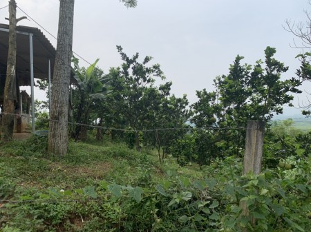 Đi đến slide 7