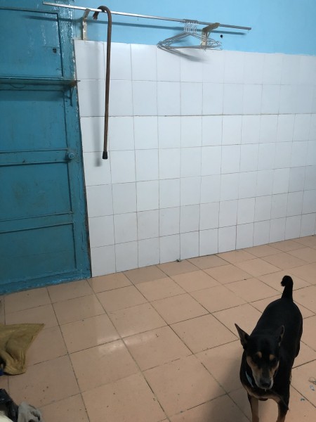 Phòng trọ giá rẻ quận 5 Trần Hưng Đạo giá cho thuê 2.5 triệu/tháng, tiện ích đủ, an ninh