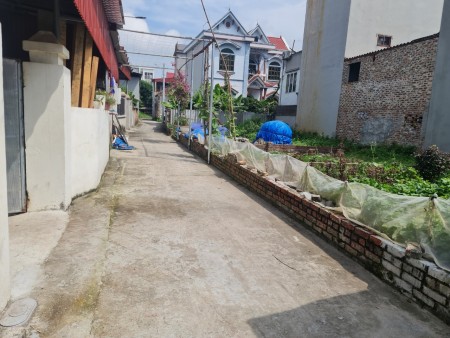 Bán Gấp 42M Mặt Tiền 5M Xuân Nộn Đường 3M Ngõ Thông Giá Chỉ 790Tr